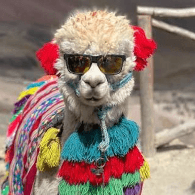 An alpaca in sunglasses wearing a rainbow fringed blanket